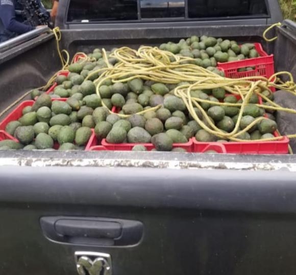 Detiene la SSP a cuatro personas en posesión de un camión con reporte de robo