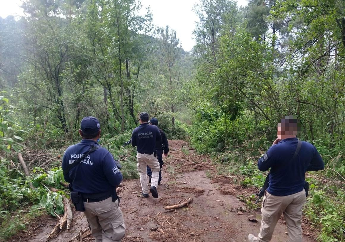 Atiende SSP reporte de tala clandestina y asegura 4 metros cúbicos de madera