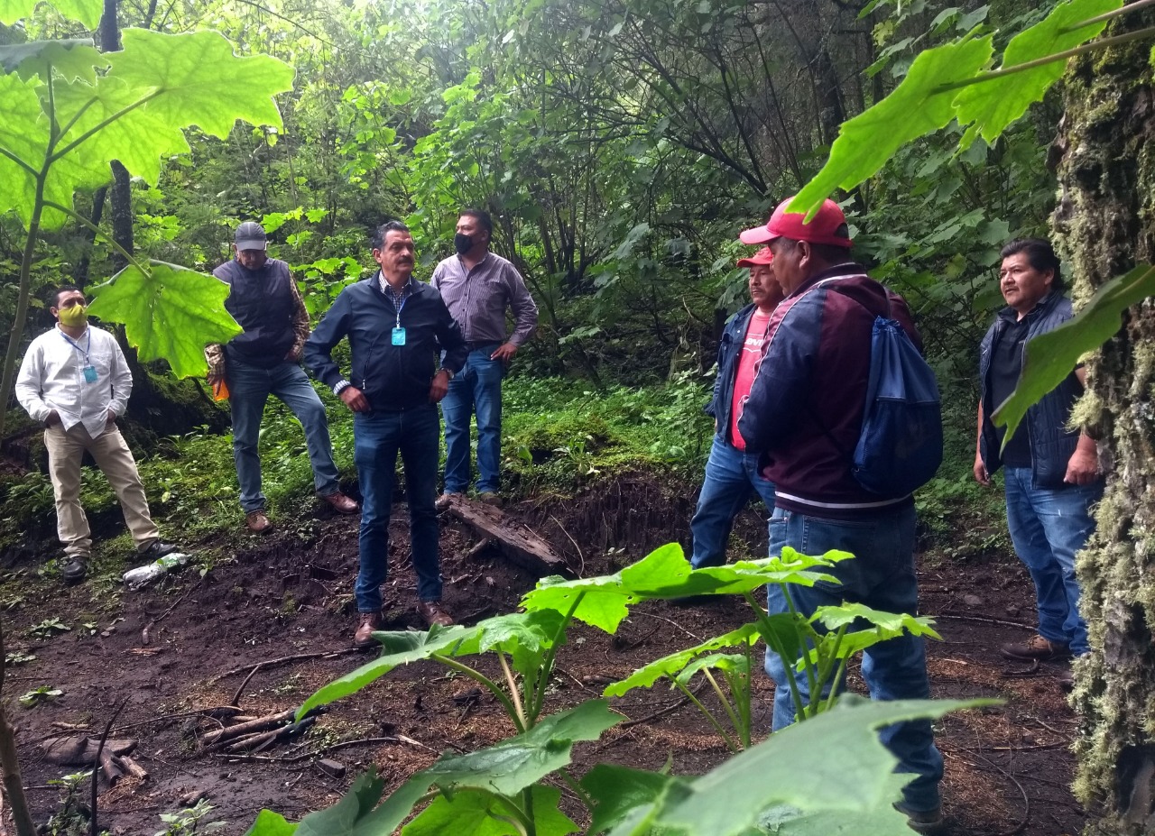 Será área de conservación, elcerro Patzákata de Angahuan