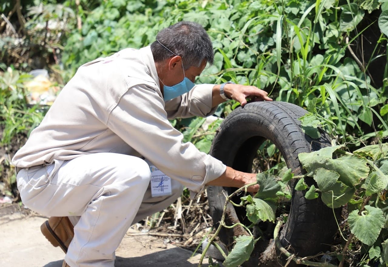 Sin casos de zika y chikungunya en Michoacán