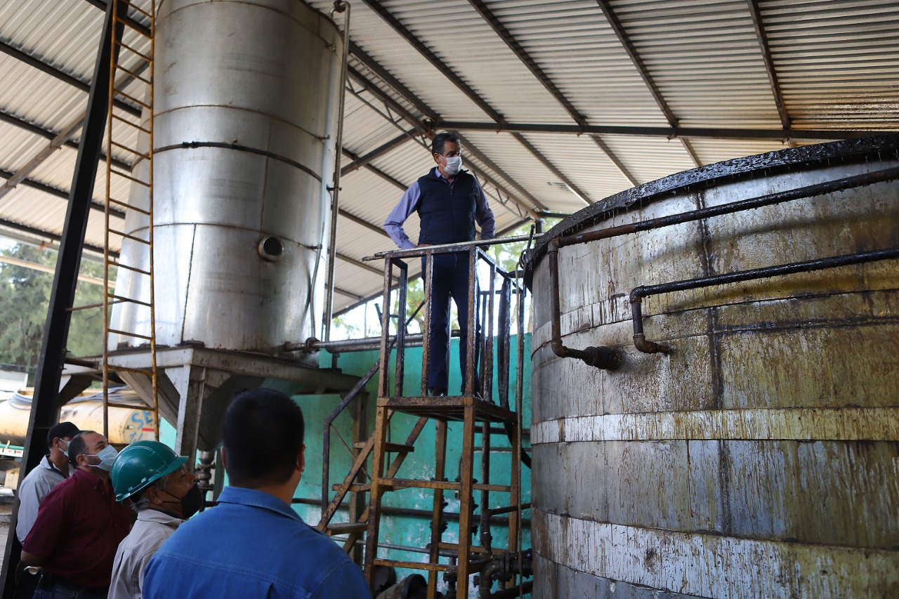 Michoacán, primer lugar nacional en la producción de resina de pino