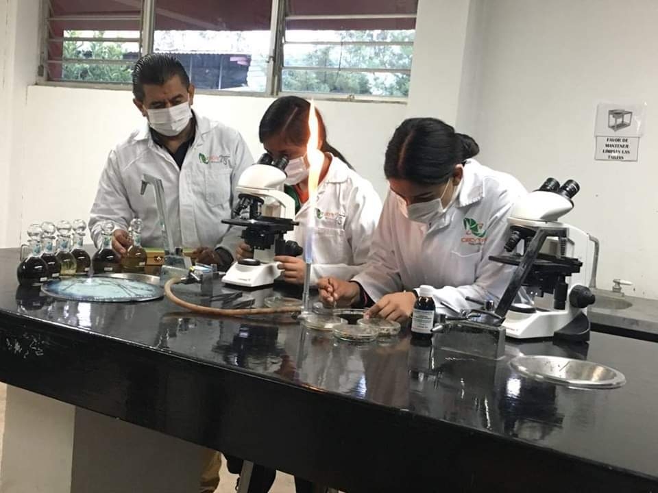 Estudiantes del CECyTEM Penjamillo participarán en Feria de Ciencia en Brasil y Colombia en 2021
