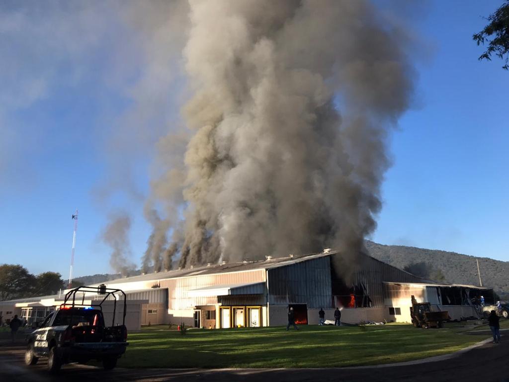 Sujetos armados incendian empaques de aguacate en Periban y Tingüindin