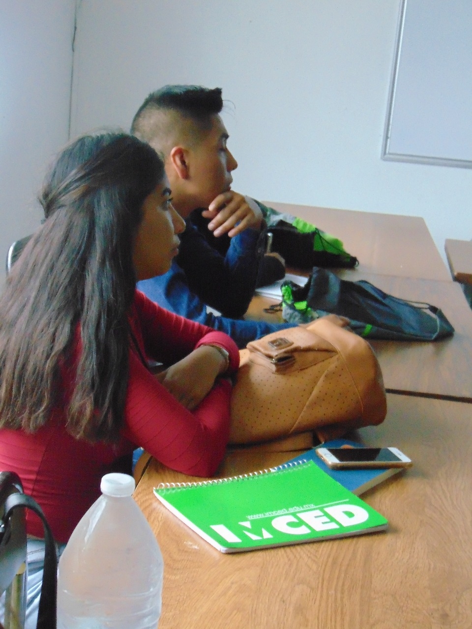 Diplomado en Nivelación Pedagógica en el IMCED