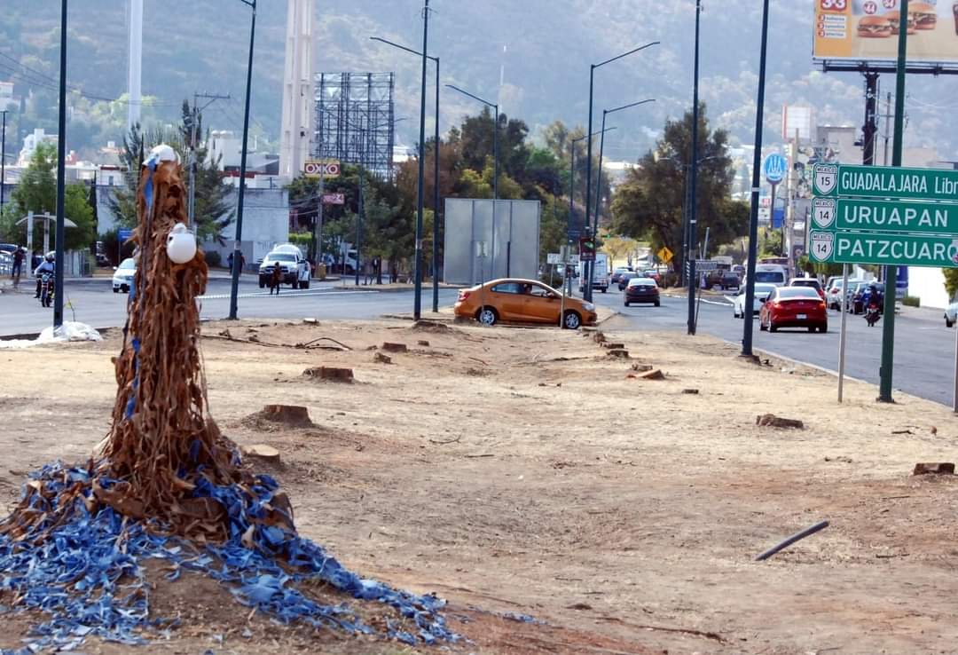 Con Distribuidor Vial Mil Cumbres, Gobierno de Michoacán plantará 2 mil 342 árboles