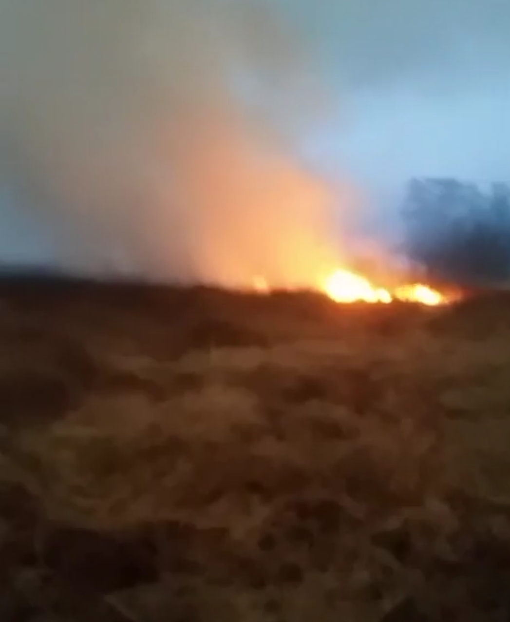 Incendio de pastizal en la laguna moviliza a los bomberos locales