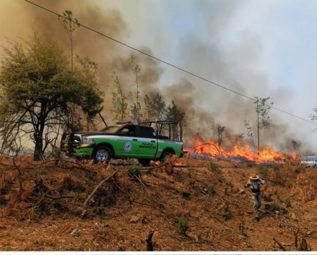 Se registra incendio forestal en la comunidad de Franco Reyes