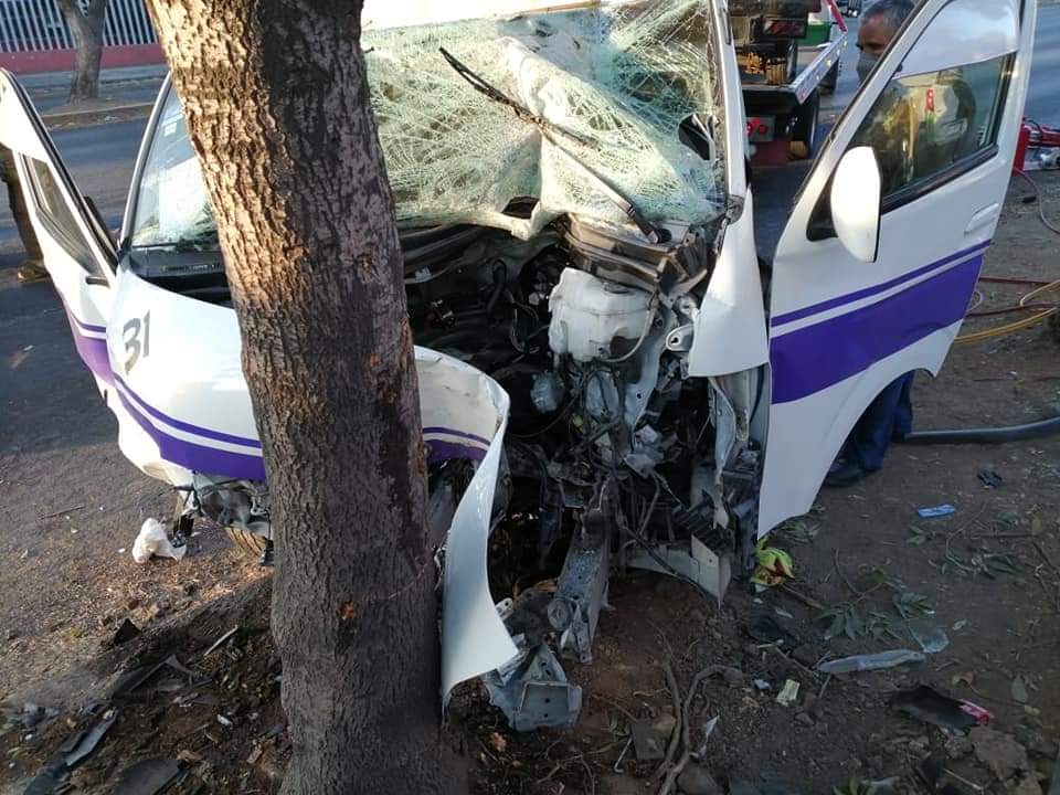 Chófer de colectivo queda atrapado al chocar contra un árbol
