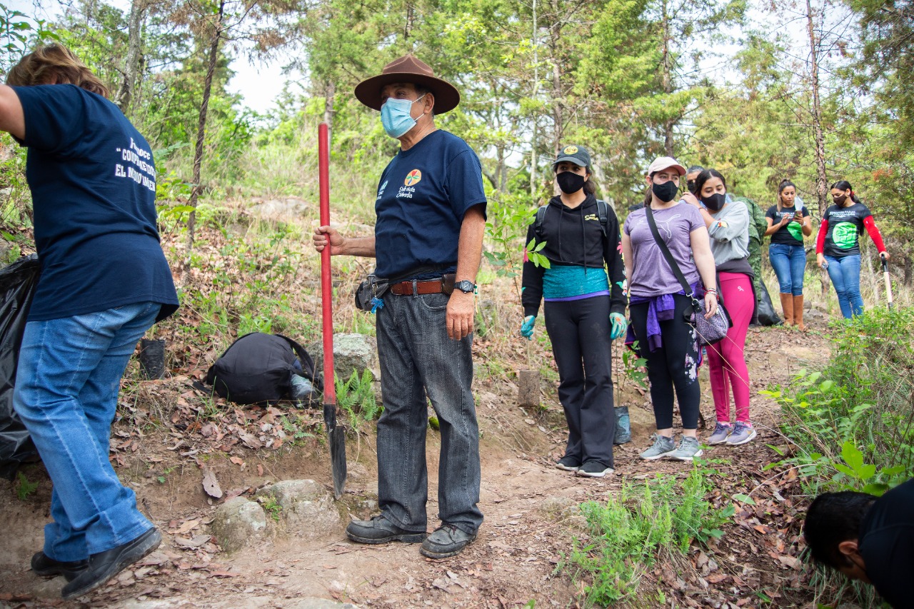 En Michoacán se plantarán 5 millones de árboles esta temporada