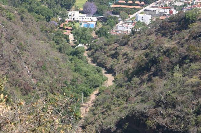 Loma de Santa María, área natural protegida, refugio de especies amenazadas y en peligro de extinción