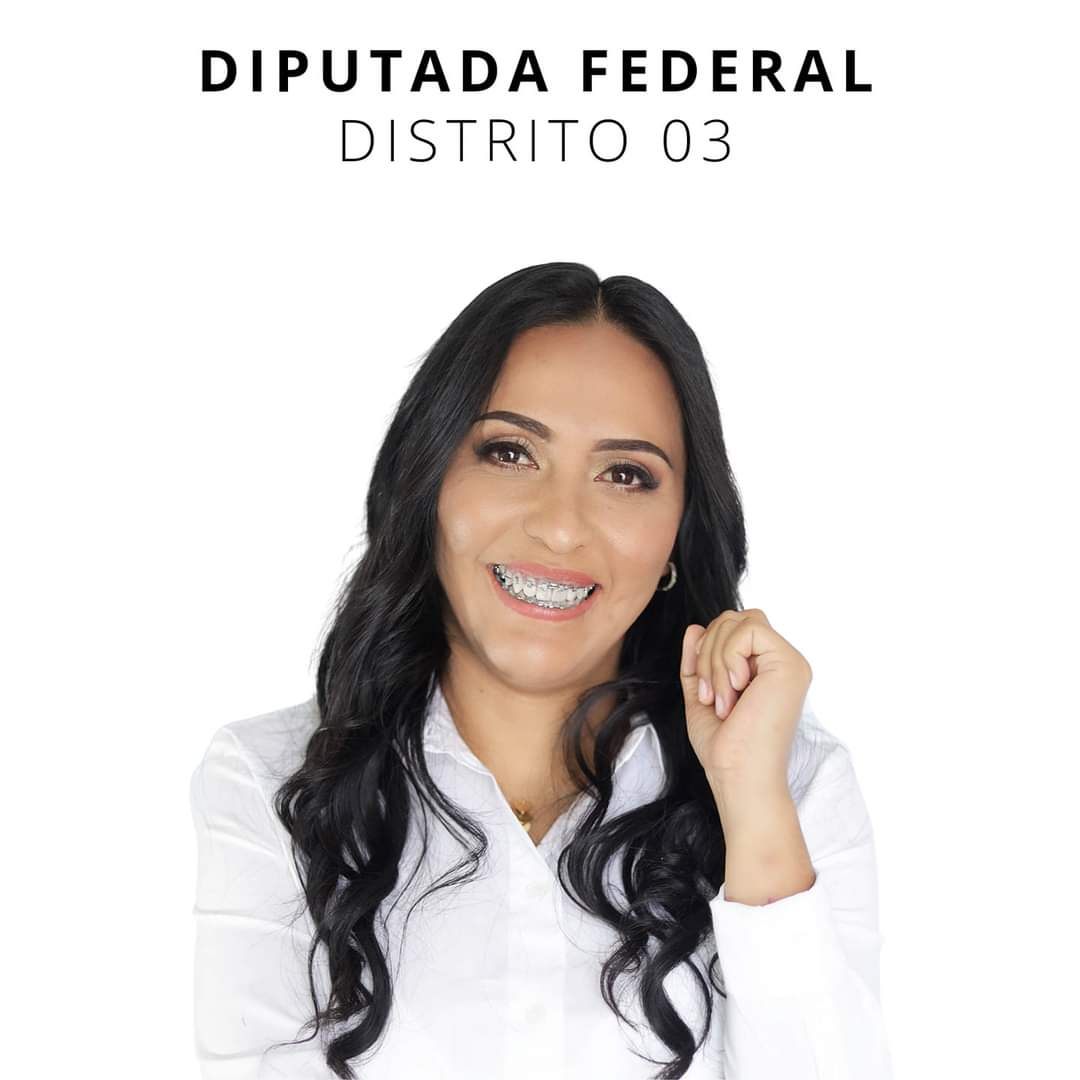 Por influencers del PVEM podría repetirse la elección del distrito federal 3