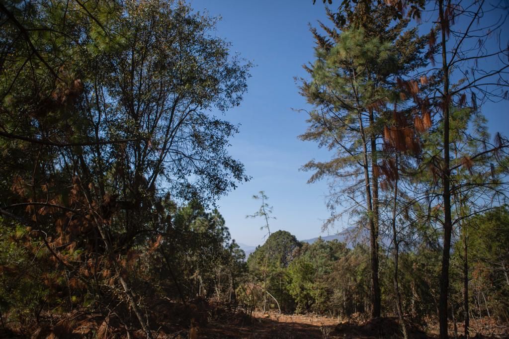 La SEMACCDET apuesta a la conservación de Áreas Naturales
