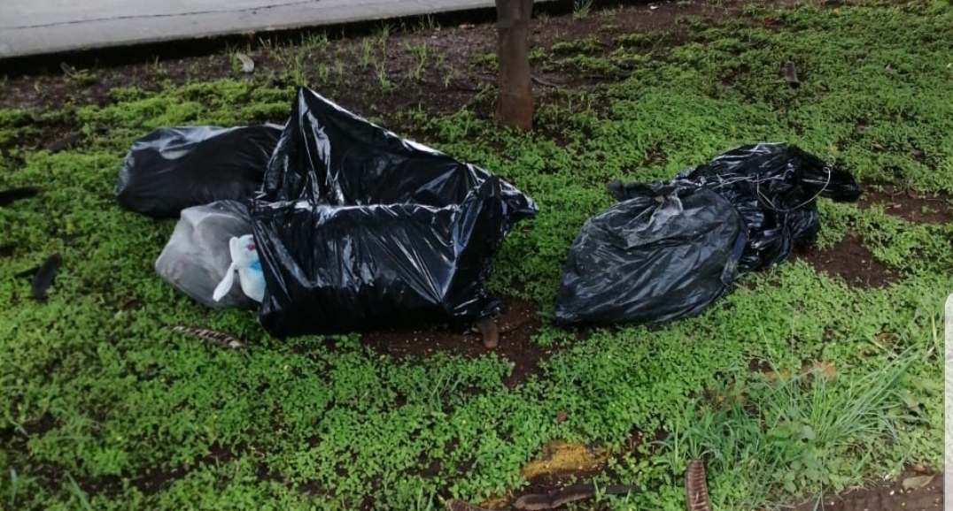 Tiran cuatro bolsas de plástico con restos humanos en un fraccionamiento de Zamora