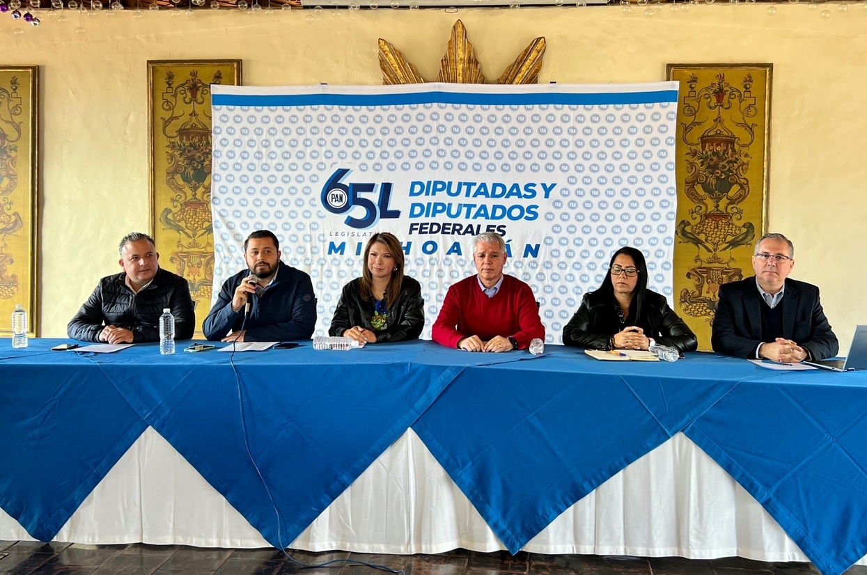 Diputados del PAN aseguran que no permitirán la intromisión de MORENA en la elección de presidente del INE