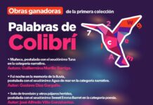 Anuncia Secum a ganadores de la convocatoria Palabras de Colibrí