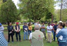 Destinan Cofom y Conafor 1.6 mdp para conservación de bosques