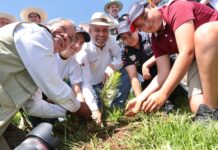 Conservación del Cerro del Punhuato incluirá un jardín botánico: Bedolla