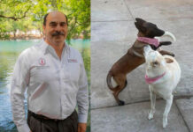 Acusan al alcalde de Tangancícuaro de matar a dos perritas con una pistola