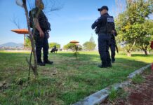 Vigilante del fraccionamiento Hacienda del Valle de Zamora es asesinado a balazos