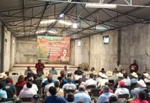 Segalmex y Sader revisan incentivos para productores de trigo