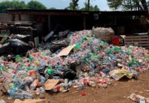 Zoológico de Morelia es ambientalmente responsable