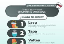 Prevenir el dengue desde casa es muy sencillo con esta estrategia de salud