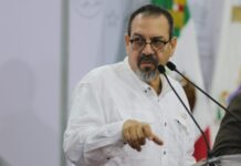 Michoacán, a la vanguardia en América Latina con tecnología verde para purificación del aire