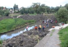 Se ampliarán empleos temporales para reforestar cuenca del lago de Pátzcuaro