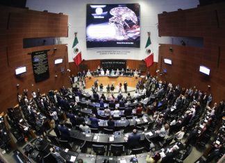 Los Senadores han solicitado 701 justificantes de septiembre de 2024 a la fecha